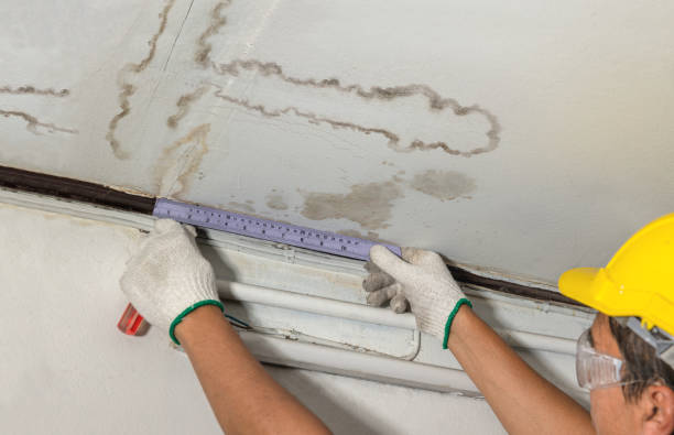 Reliable Water Damage contractor in Toledo, OR by Water Damage Irwin
